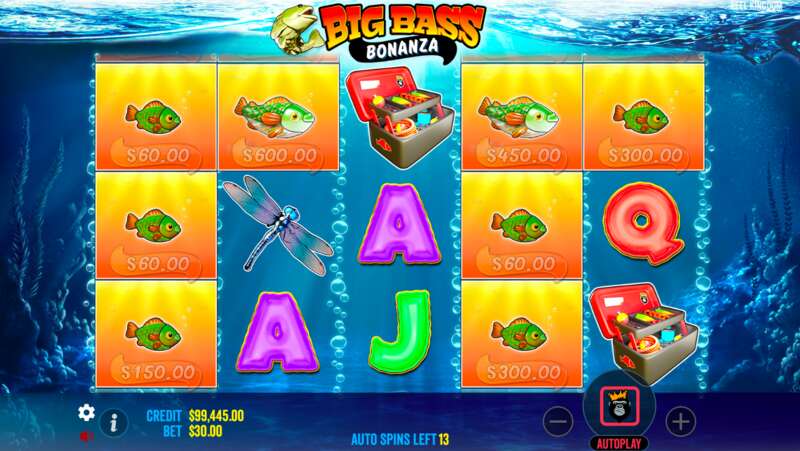 Features of the Big Bass series of games